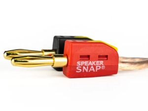 Speaker Snap - Fiches Bananes