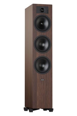 Indiana Line - Tesi 6