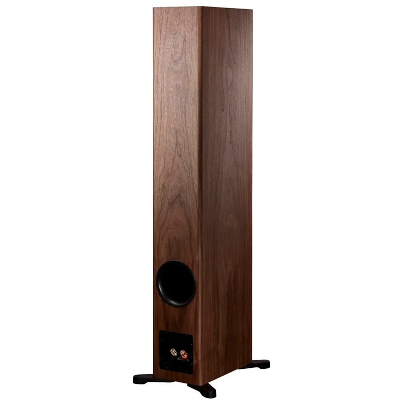 Dynaudio - Evoke 50 – Image 3