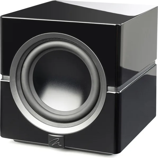 Martin Logan - Dynamo 10